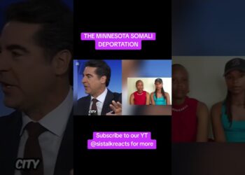 #maga #response #fafo #somalicommunity #usa