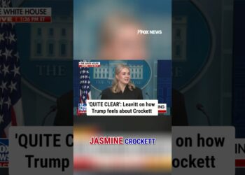 Leavitt calls Jasmine Crockett 'wholly unqualified' for Senate workplace #shorts #trump #crockett #fox