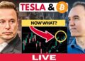 Can Tesla transfer subsequent week? Can Tesla transfer subsequent week?