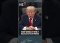 'No Massive Deal', Trump Performs Down Newly Launched Epstein Photographs That includes Him and Others