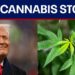 Hashish shares surge after studies that Trump could reclassify the drug this week Hashish shares surge after studies that Trump could reclassify the drug this week