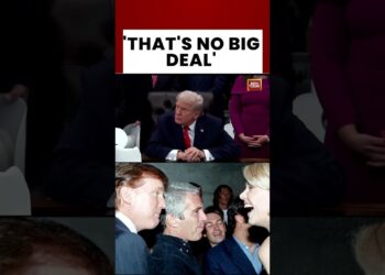 Donald Trump Dismisses New Epstein Pictures As 'No Large Deal' | US Information | India As we speak