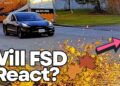 How Badly Do Leaves Confuse Tesla Full Self-Driving? Street Check Reveals All