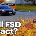 How Badly Do Leaves Confuse Tesla Full Self-Driving? Street Check Reveals All