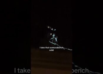 Starlink Down: Daddy Elon Please Repair it