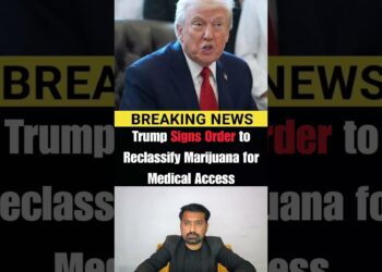 Trump Indicators Order to Reclassify Marijuana for Medical Entry