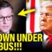 MAGA MIKE ACCIDENTALLY Exposes Trump’s CRIMINAL COVER UP