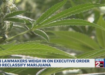 Tennessee lawmakers weigh in on govt order to reclassify marijuana
