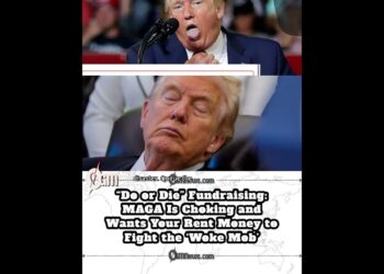 One other Emergency Enchantment MAGA Pins Troubles on ‘Woke Mob’ Whereas Begging for Money #MAGA #ViralNews