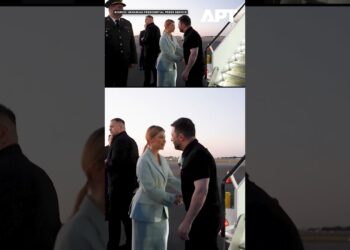 Zelensky Arrives in Miami Forward of Excessive-Stakes Talks With Trump on Ukraine Peace | APT