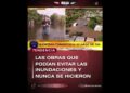 #inundaciones  #obra  #vergüenza  #noticias #maga