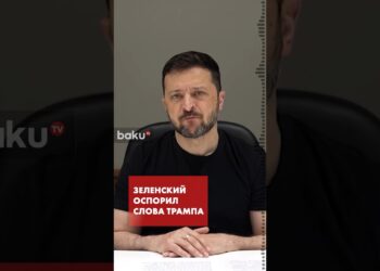 Зеленский прокомментировал слова Трампа о Путине