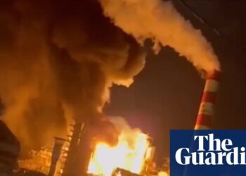 Ukraine warfare briefing: ‘Assault on international meals safety’ as Russia hits wheat ships and ports | Ukraine