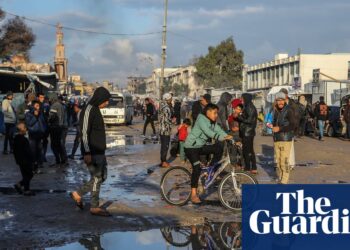 Gaza not in famine however starvation ranges stay important, UN says | Gaza