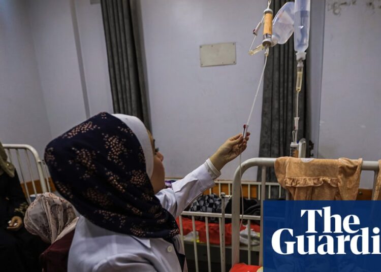 Greater than 9,000 kids in Gaza hospitalised for acute malnutrition in October, UN says | Gaza Greater than 9,000 kids in Gaza hospitalised for acute malnutrition in October, UN says | Gaza
