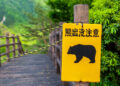 How Japan is preventing again towards a surge of bear assaults