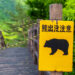 How Japan is preventing again towards a surge of bear assaults