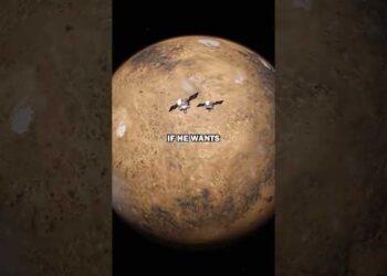 That is Why Elon Musk is Constructing EVERYTHING