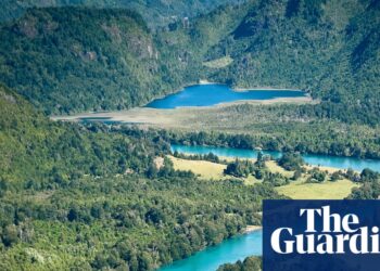 ‘I can’t consider a spot extra pristine’: 133,000 hectares of Chilean Patagonia preserved after native fundraising | Chile