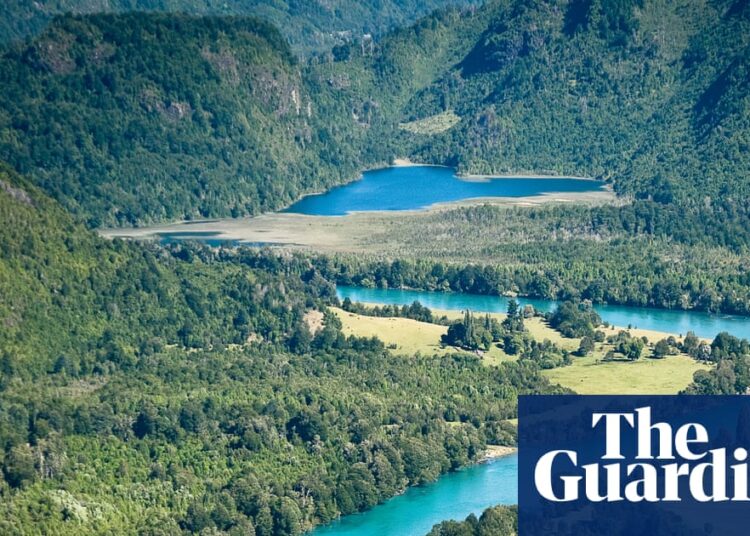 ‘I can’t consider a spot extra pristine’: 133,000 hectares of Chilean Patagonia preserved after native fundraising | Chile