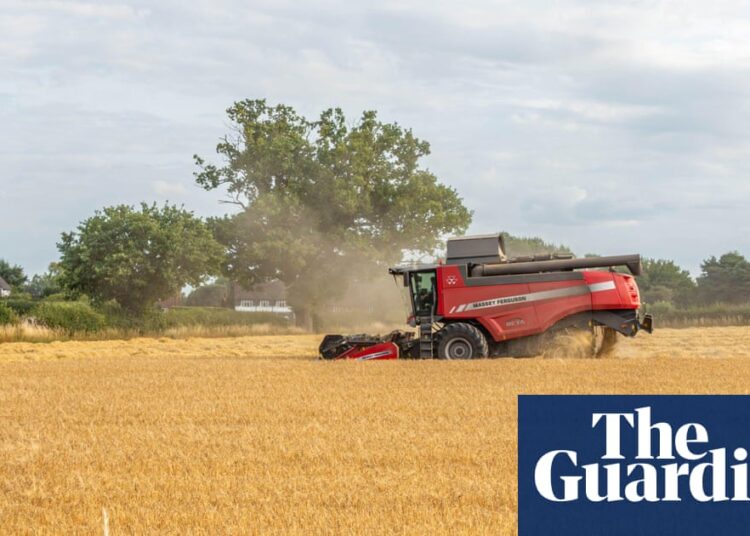 Meals changing into extra calorific however much less nutritious resulting from rising carbon dioxide | Greenhouse gasoline emissions Meals changing into extra calorific however much less nutritious resulting from rising carbon dioxide | Greenhouse gasoline emissions