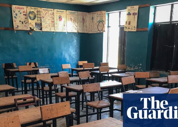 Freed Nigerian schoolchildren to be reunited with households | Nigeria