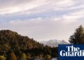 The agricultural cities preventing for survival as New Zealand grapples with a rising exodus | New Zealand