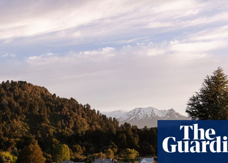 The agricultural cities preventing for survival as New Zealand grapples with a rising exodus | New Zealand