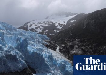‘It’s the wildest place I’ve walked’: new nationwide park will be part of up Chile’s 2,800km wildlife hall | Chile