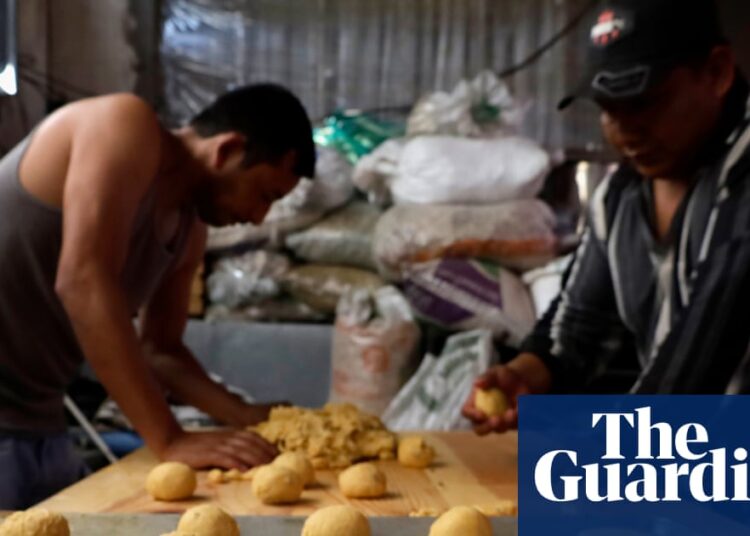 British baker outrages Mexicans with assault on their ‘ugly’ bread | Mexico