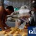 British baker outrages Mexicans with assault on their ‘ugly’ bread | Mexico