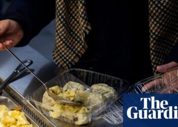 Contemporary ‘manty’ and low-cost figs: a post-Soviet grocery store turns into a must-visit spot in NYC | New York