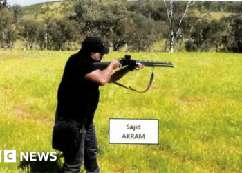 Alleged Bondi gunmen threw ‘tennis ball bomb’, new paperwork say