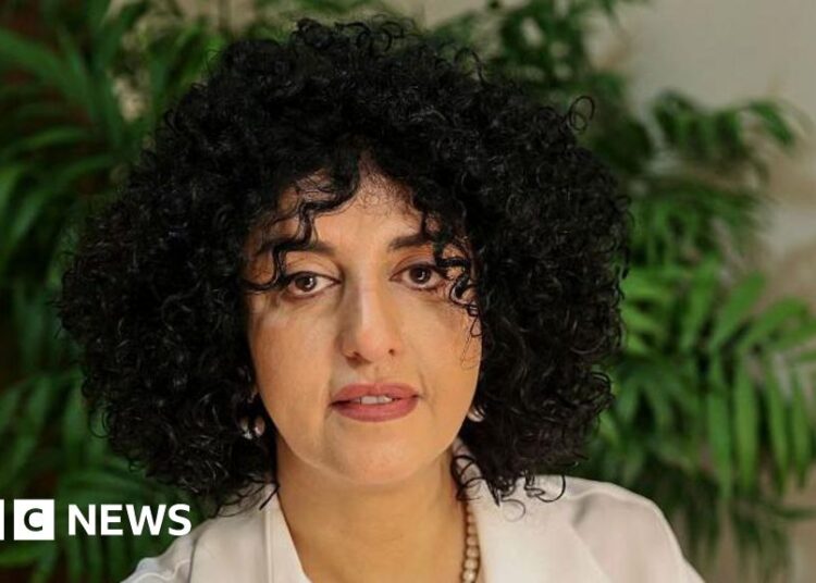 Nobel laureate Narges Mohammadi arrested in Iran, supporters say Nobel laureate Narges Mohammadi arrested in Iran, supporters say