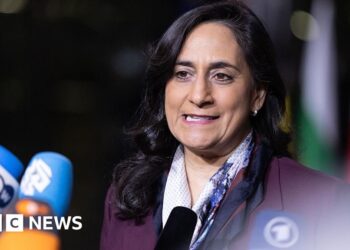 Six Canadian MPs denied entry by Israel to the occupied West Financial institution