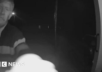 ‘Neighbour with 140 convictions has harassed us for greater than a 12 months’ ‘Neighbour with 140 convictions has harassed us for greater than a 12 months’