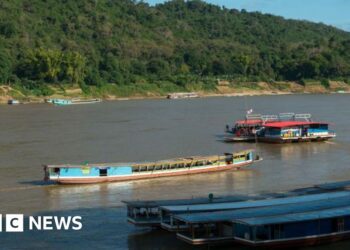 Screams for assist and panic as vacationers rescued from deadly sinking