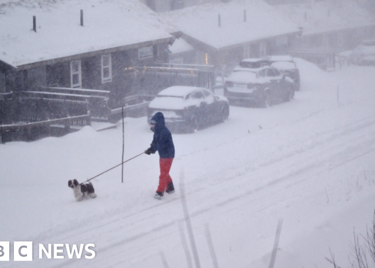 Three killed in Sweden as main storm sweeps Nordic international locations