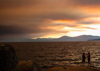 Zillow’s retreat from local weather danger reveals the housing market’s denial downside Zillow’s retreat from local weather danger reveals the housing market’s denial downside