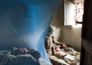 New malaria drug hits 97% remedy charge. Now we have to pay for it.