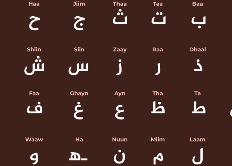 From A for algebra to T for tariffs: Arabic phrases utilized in English speech | Arts and Tradition Information From A for algebra to T for tariffs: Arabic phrases utilized in English speech | Arts and Tradition Information