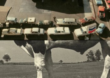 How reducing meat and automobile dependence might let the economic system develop whereas slowing local weather change