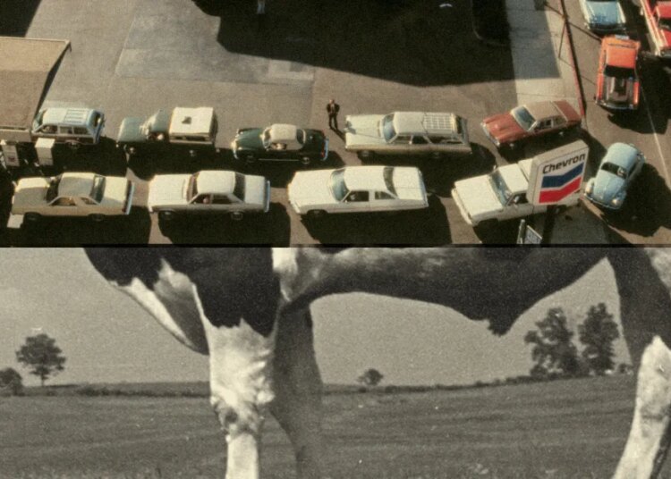 How reducing meat and automobile dependence might let the economic system develop whereas slowing local weather change