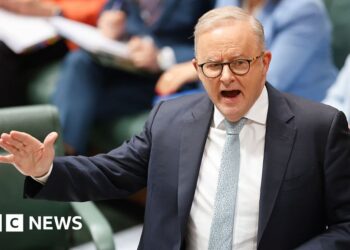 Anthony Albanese proclaims hate speech crackdown after Bondi taking pictures Anthony Albanese proclaims hate speech crackdown after Bondi taking pictures