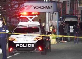 Not less than 15 injured in knife and bleach assault at Japan manufacturing unit