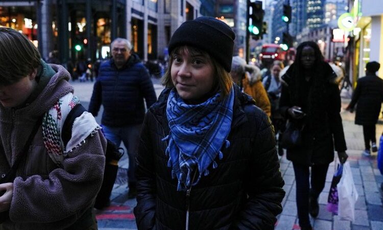Greta Thunberg arrested for pro-Palestinian protest underneath UK terrorism regulation