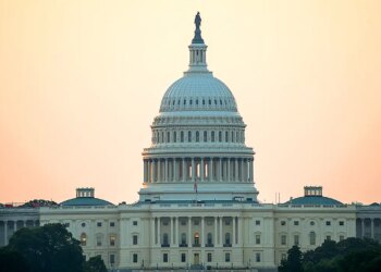 Senator with healthcare oversight calls for probe of alleged Minnesota fraud