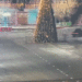 Kazakhstan driver crashes into Christmas tree caught on CCTV video