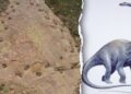 Dinosaur limping proof present in 150 million-year-old Colorado trackway