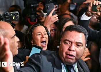 Chaos breaks out in Congress throughout Jair Bolsonaro sentence vote